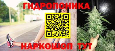 дурь Кинель