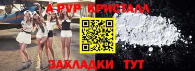 меф Кингисепп