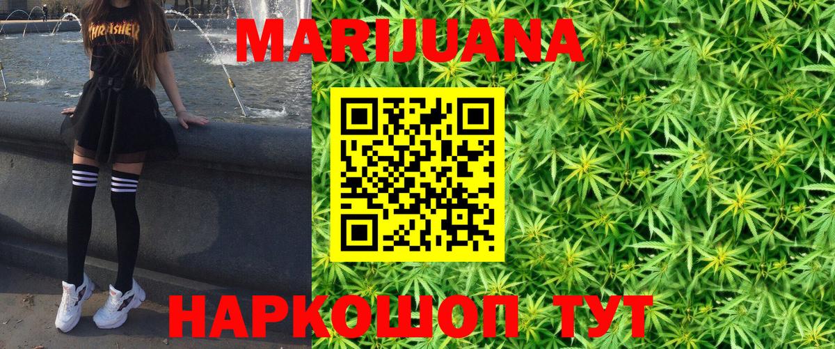 Конопля гибрид Краснознаменск